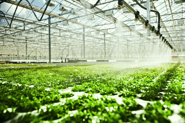 1629192383578532.jpg 7-min.jpg