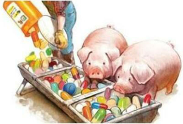 獸藥殘留的分類(lèi)及獸藥殘留檢測(cè)儀作用