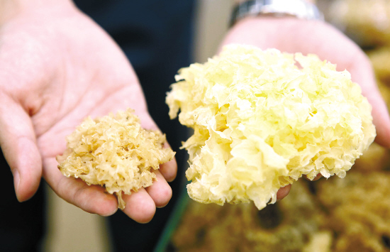 1611278643413363.jpg 8.jpg